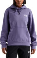 The North Face Evolution Box NSE Graphic Hoodie