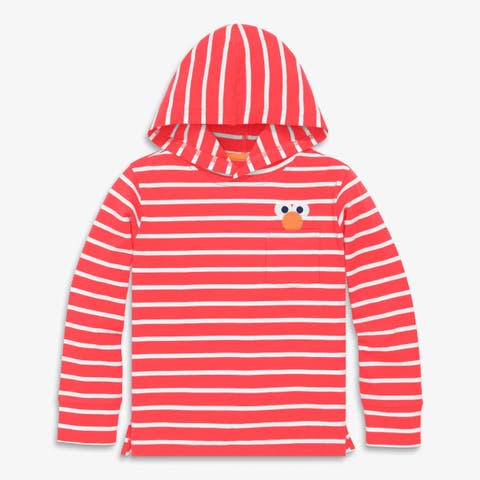 Kids Sesame Street Embroidered T-Shirt Hoodie (Toddler, Little Kid, Big Kid)