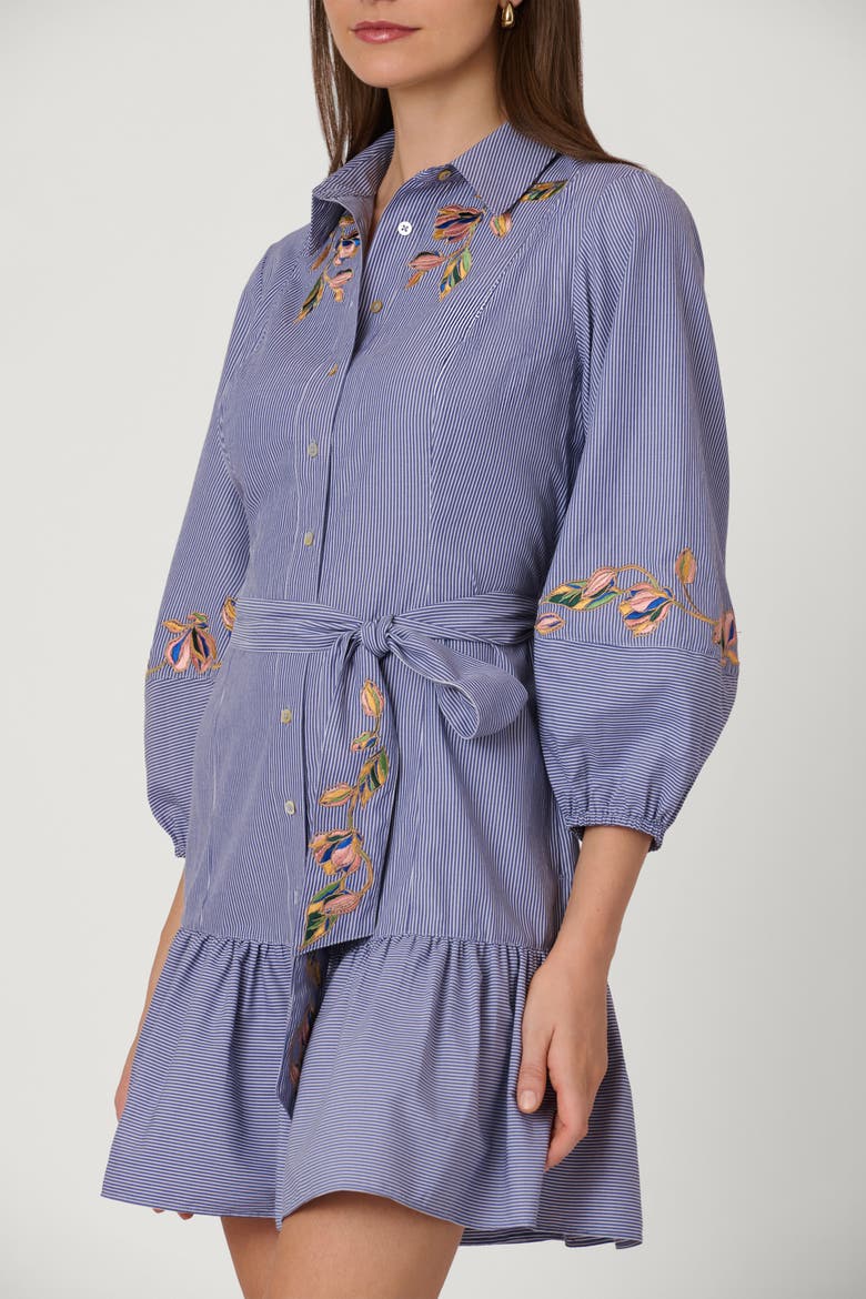 Embroidered Pinstripe Gwen Dress, Alternate, color, Lapis Multi