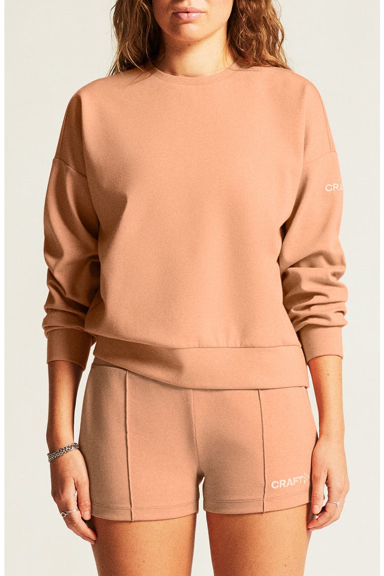 ADV Join Jersey Sweatshirt, Main, color, SYRUP
