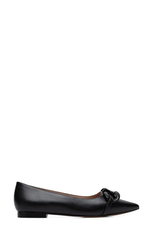 Linea Paolo Nora Pointed Toe Flat In Black