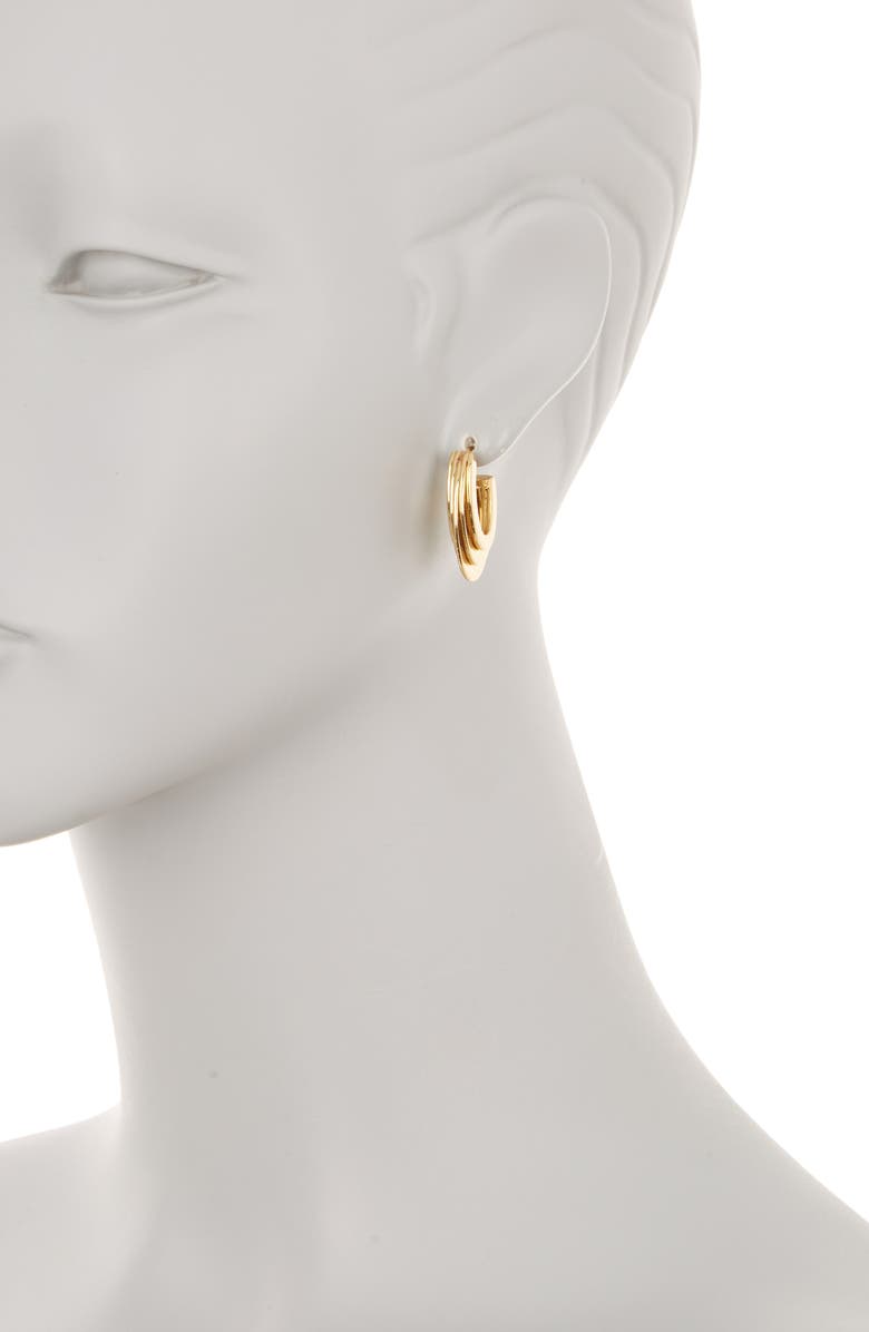 EYE CANDY LOS ANGELES Emily Hoop Earrings, Alternate, color, Gold