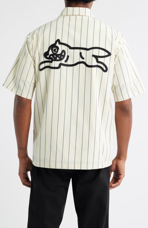 Icecream Fruit By The Fruit Stripe Short Sleeve Cotton Graphic Button-up Shirt In White