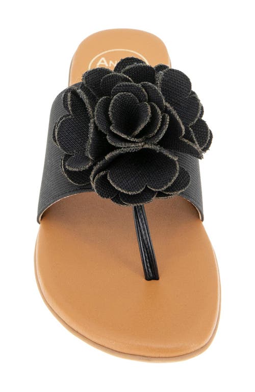 Andre Assous André Assous Nate Flower Sandal In Black