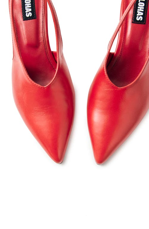 Alohas Eros Slingback Pointed Toe Kitten Heel Pump