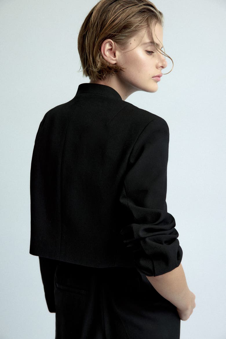 Double-breasted Crop Jacket, Alternate, color, Black