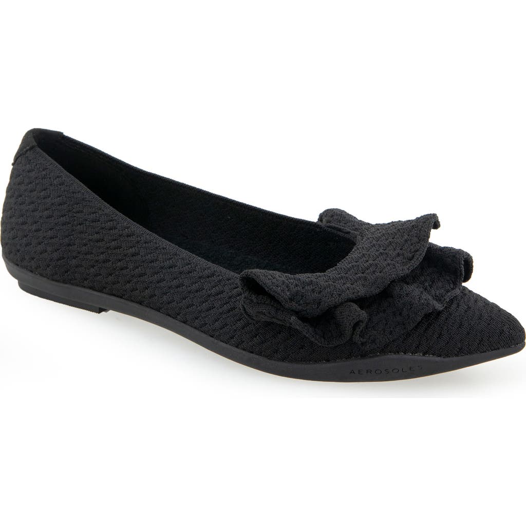 AEROSOLES AEROSOLES DAMIRA POINTED TOE FLAT