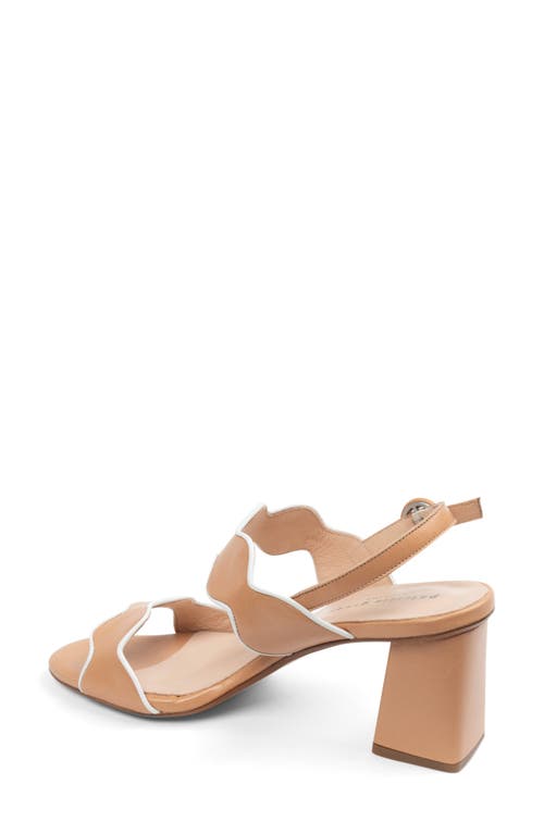 Shop Patricia Green Palm Beach Piped Sandal In Tan/white