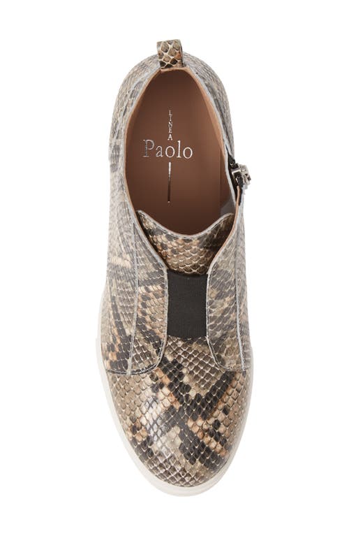 Linea Paolo Felicia Iii Wedge Sneaker In White/black/brown Leather