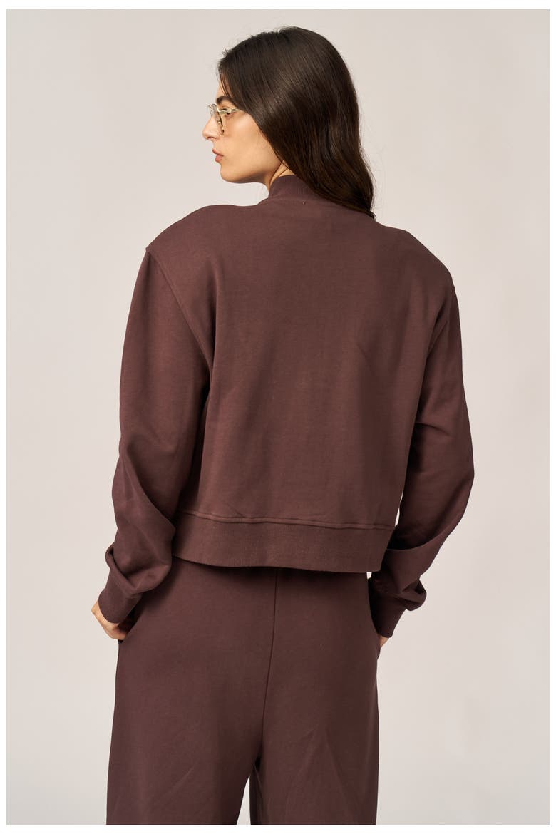 Cozy Coast Airport Bomber Sweatshirt, Alternate, color, Brown
