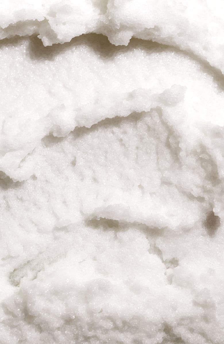 Herbivore Botanicals Coconut Milk Body Polish, Alternate, color, 