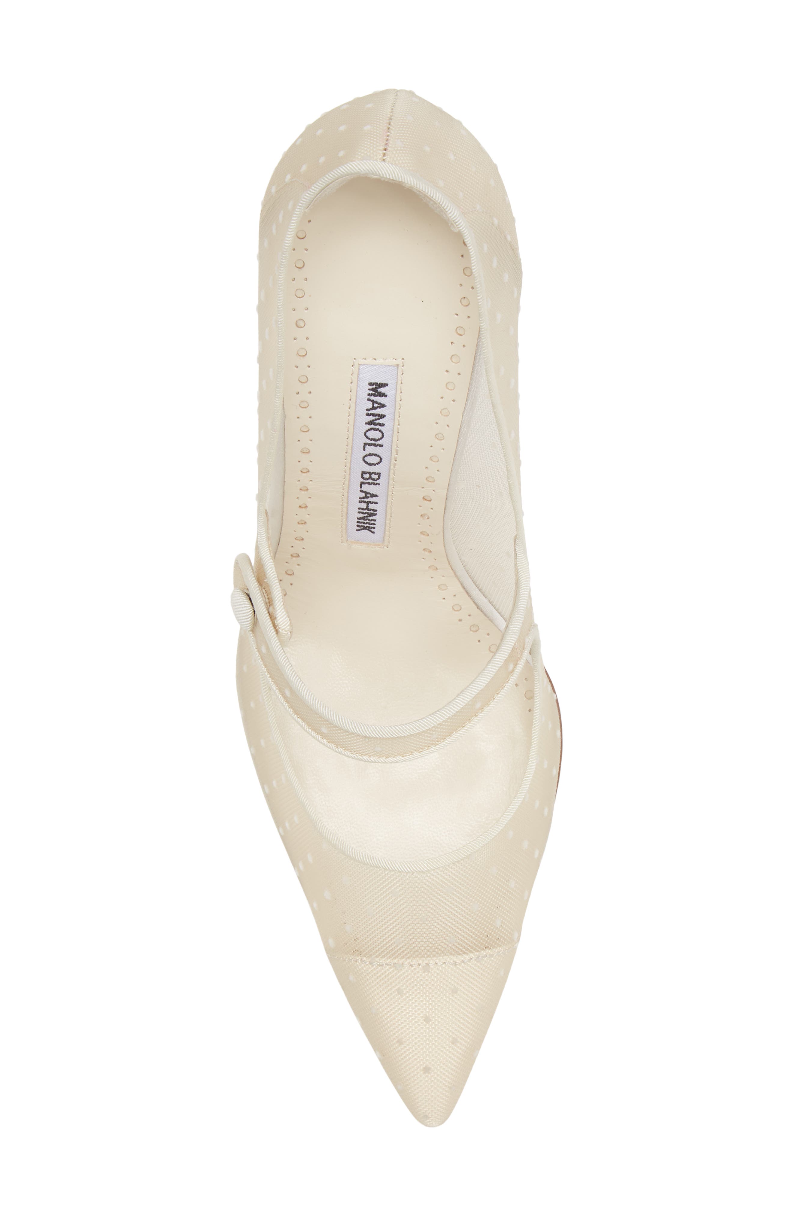 Manolo Blahnik Campari Pointed Toe Mary Jane Pump, Alternate, color, 