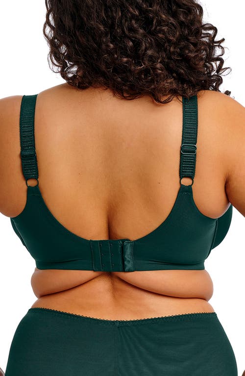 Elomi Plus Size Cate Allure Underwire Bra In Green