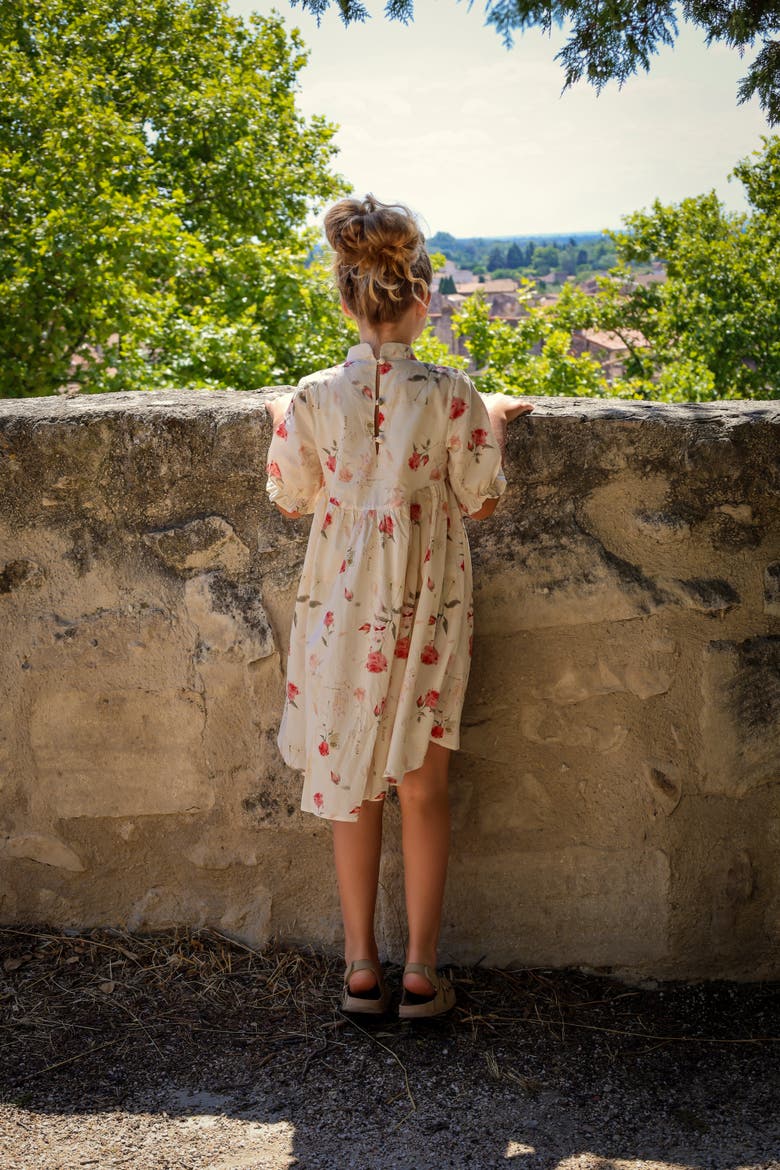 Madeleine Dress, Alternate, color, Rose Garden Toile