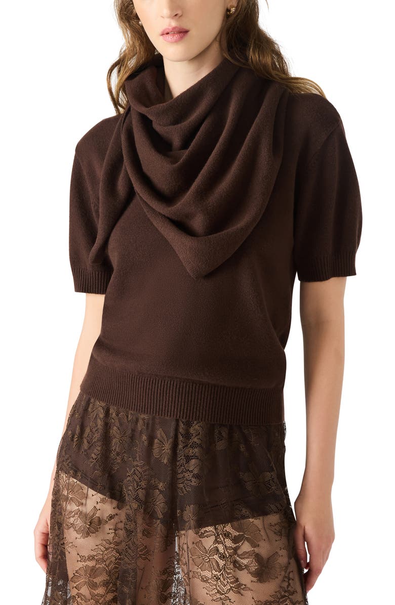 Steve Madden Hermia Short Sleeve Sweater, Alternate, color, Dark Espresso