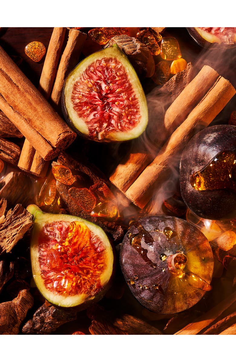 ROJA Amber Aoud Parfum, Alternate, color,