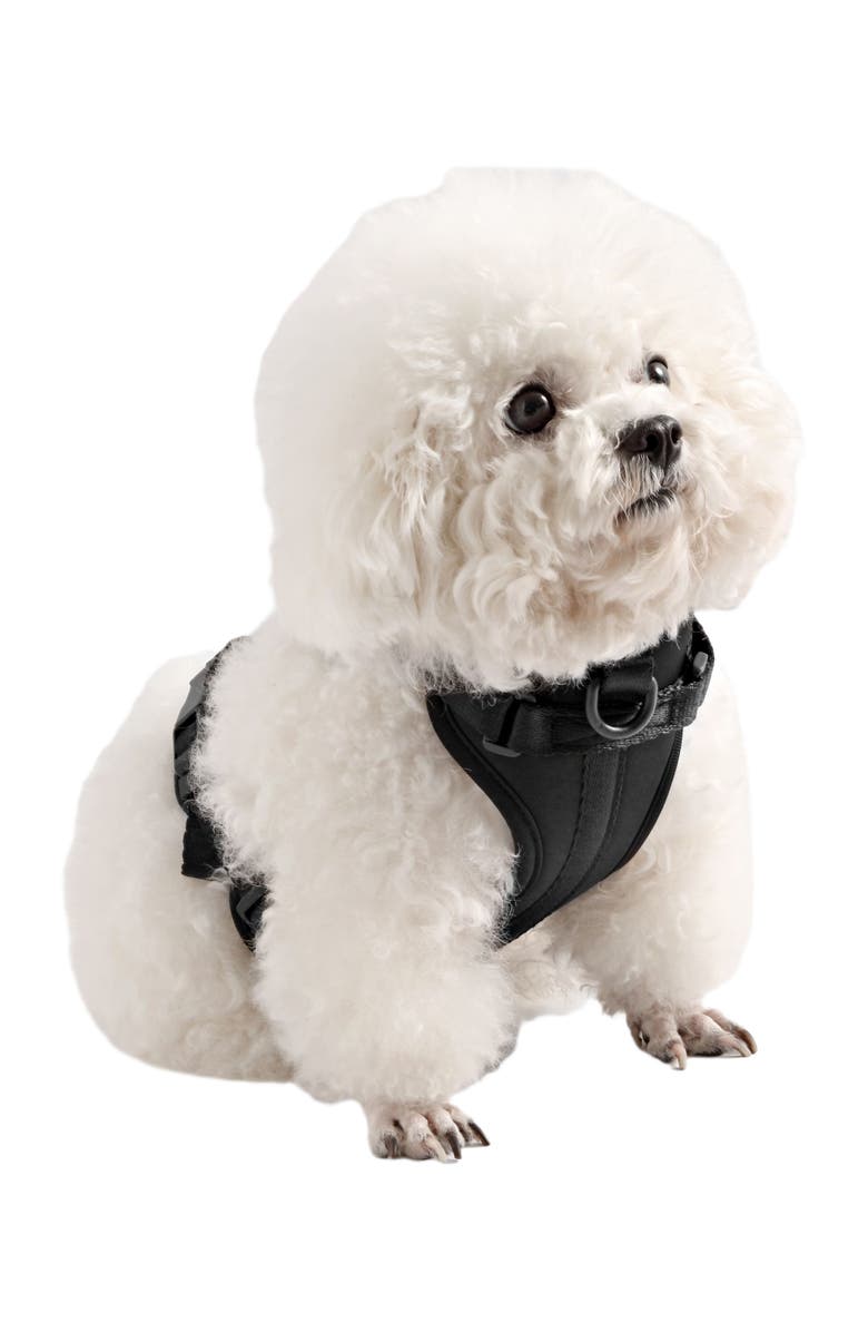 The Licker Store Arlo Adjustable Soft Padded No Pull Pet Harness with 3 Buckles and 3 Leash Clips, Alternate, color, Black