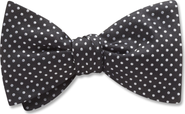 Beau Ties of Vermont Oriel Bow Tie