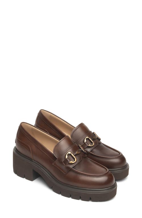 Nerogiardini Lug Sole Loafer In Brown