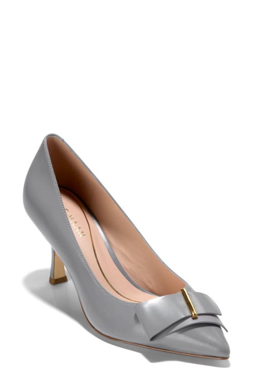 Cole Haan Felicia Bow Pointed Toe Pump In Gray