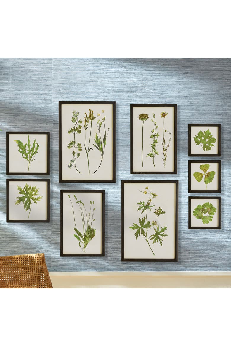 Foliage Prints, Set Of 9, Alternate, color, Green