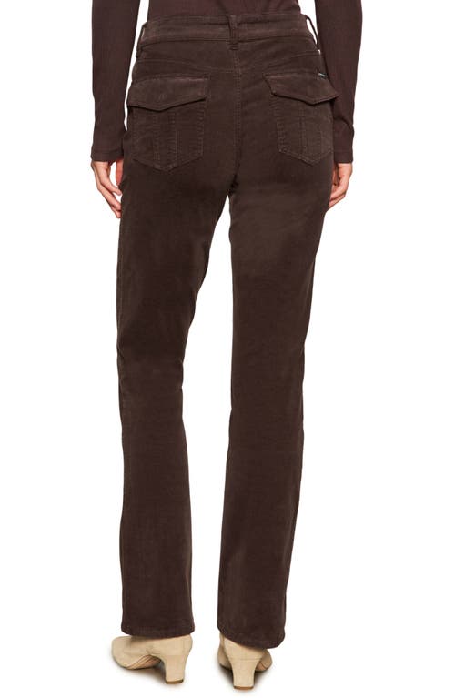 Sanctuary Corduroy Hayden Bootcut Pants In Brown Sugar In Brown