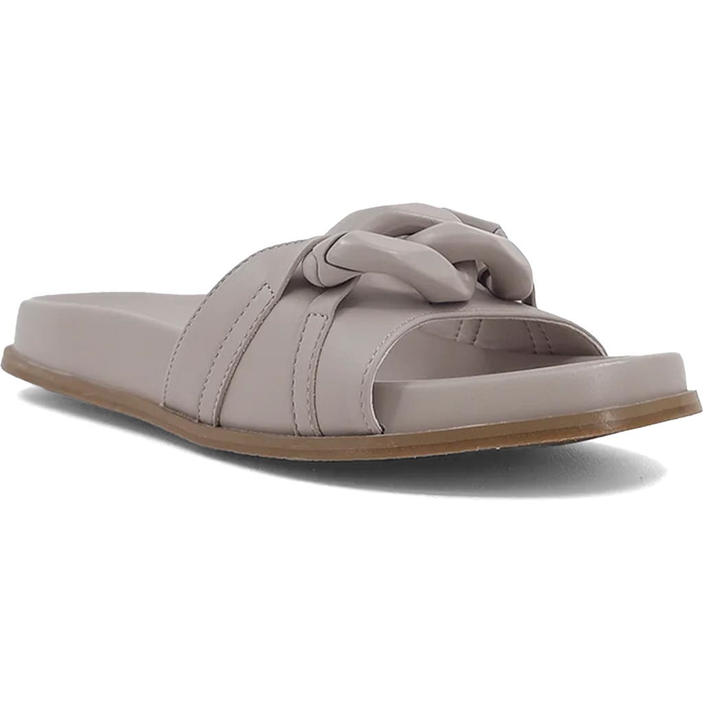 Shushop Cassie Slide Sandal In Brown
