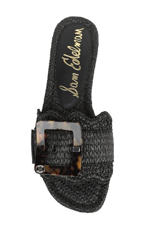 Sam Edelman Bambi Raffia Buckle Slide Sandal In Black
