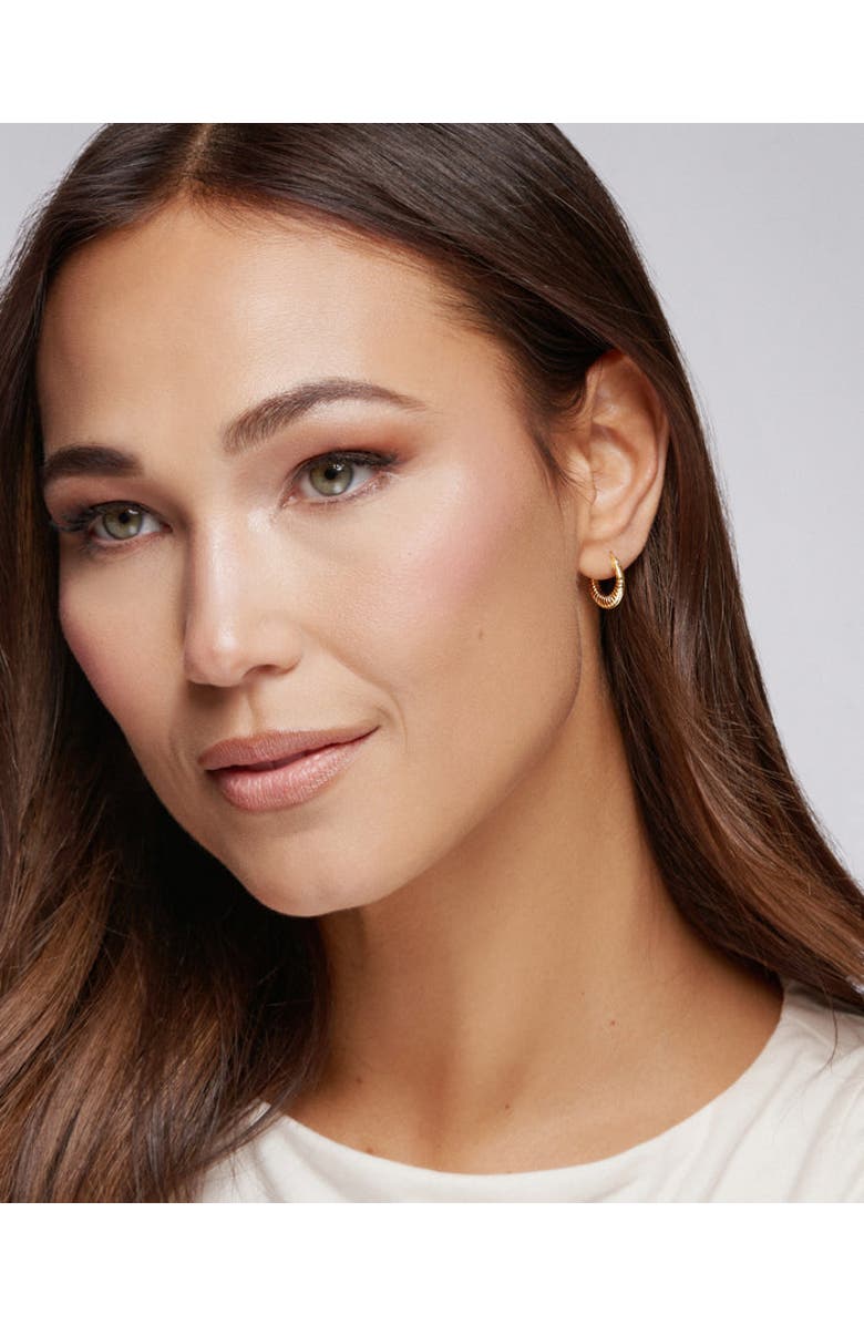 ZARUX Timeless Mini Hoops, Alternate, color, Yellow Gold