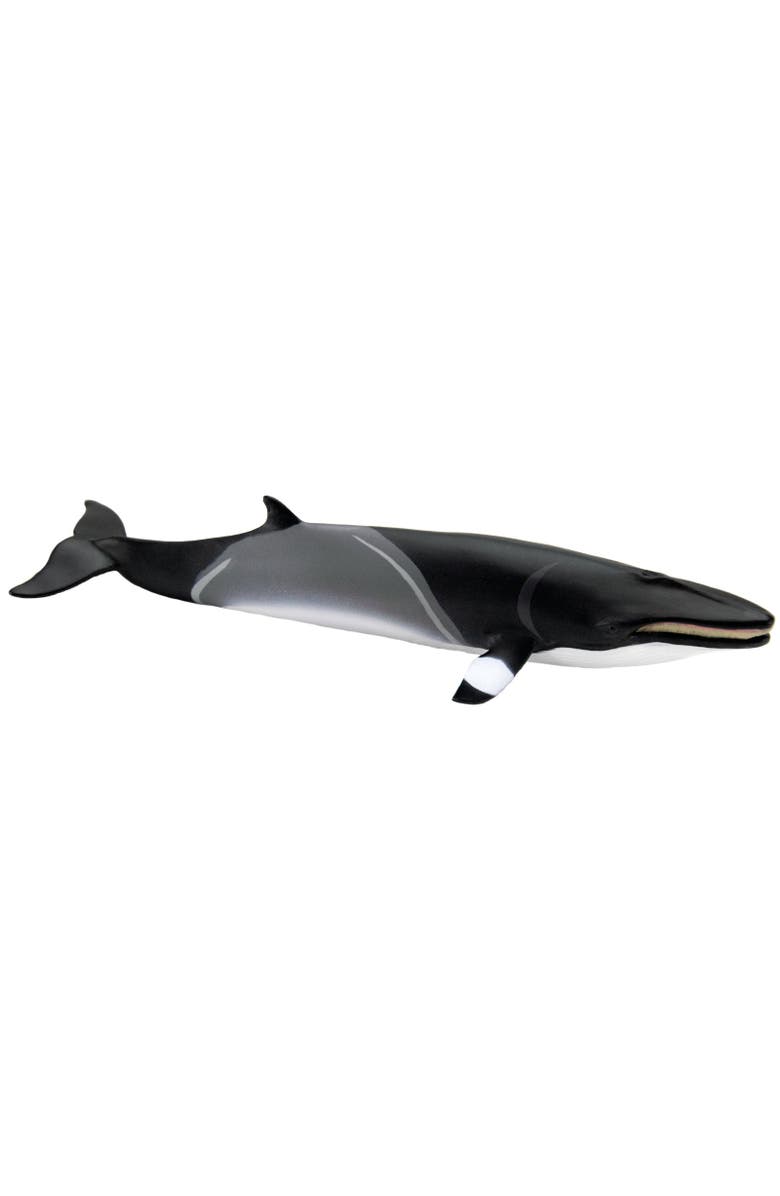 Safari Ltd. Minke Whale Toy, Alternate, color, NO COLOR
