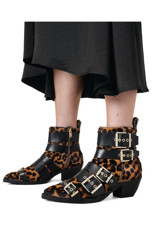 Allsaints Jane Buckle Bootie In Leopard Brown/black Calf Hair
