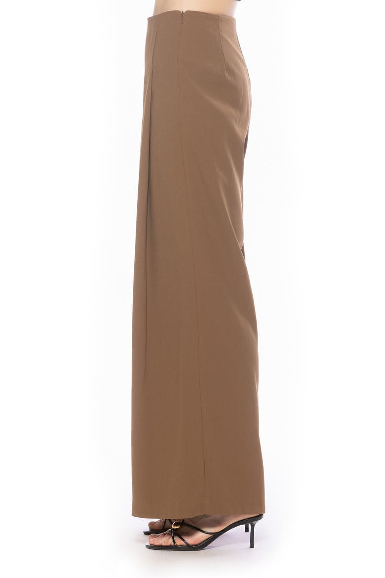 Elia High Waist Pleat Wide Leg Pants, Alternate, color, BROWN