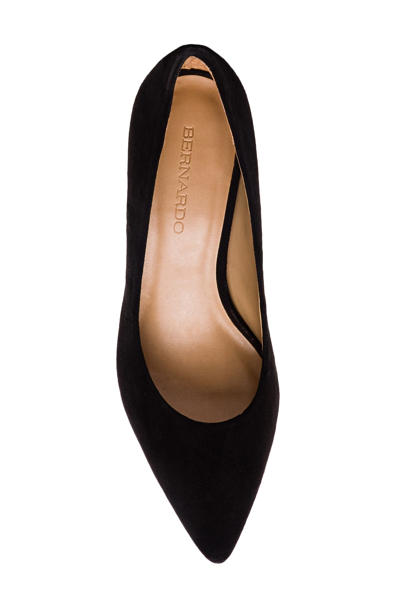 Bernardo Footwear Faryn Pointed Toe Pump, Alternate, color, 