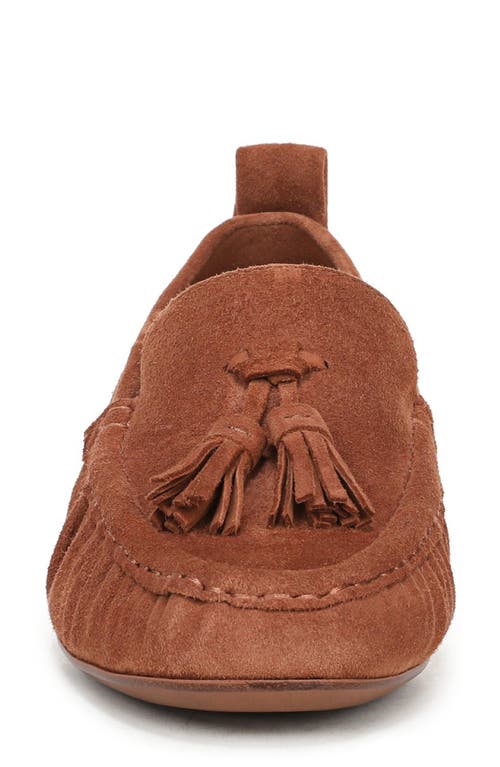 Circus Ny By Sam Edelman Hudson Tassel Loafer In Brown