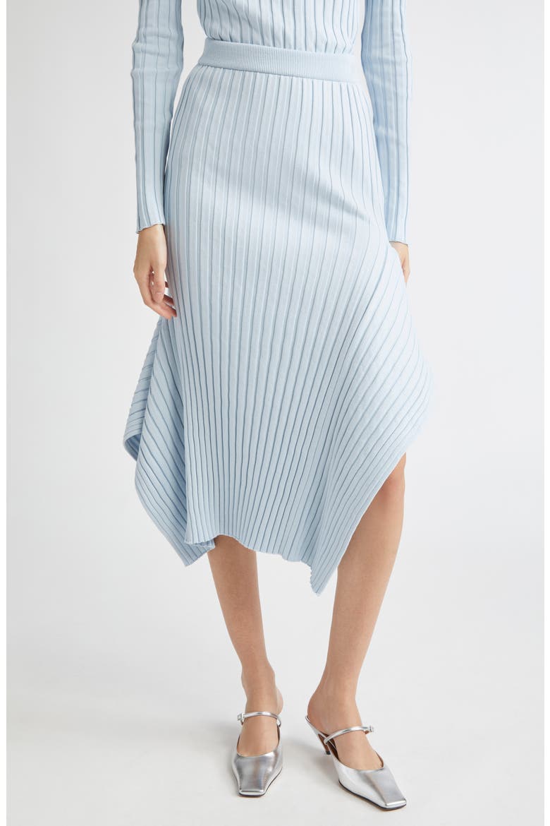 Textured Knit Rib Skirt, Main, color, 4210 - LIGHT BLUE