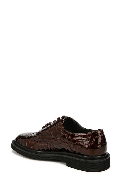 Franco Sarto Audrey Croc Embossed Wingtip Oxford In Brown