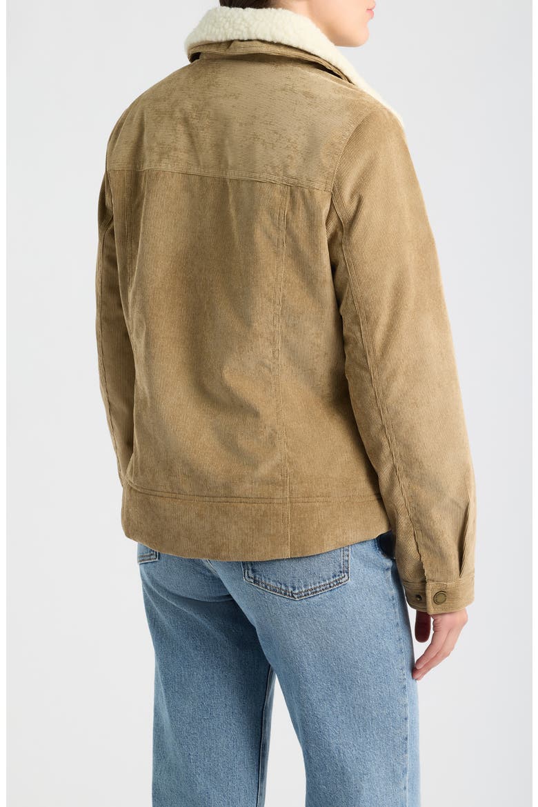 Wind Basin Corduroy Jacket, Alternate, color, OLD OAK