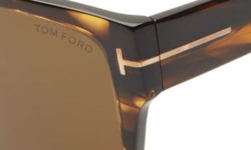 Tom Ford 55mm Rectangular Sunglasses In Dbrno/rovx