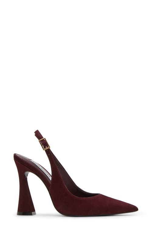 Steve Madden Blare Slingback Pointed Toe Pump In Burgundy