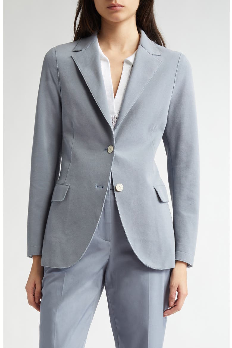 Single Breasted Cotton Blend Blazer, Alternate, color, DUST