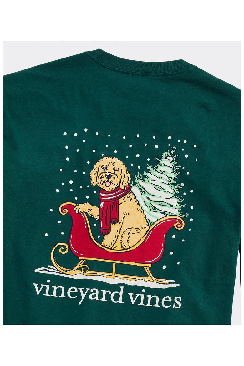 Big Dog Small Sleigh Graphic Long Sleeve T-Shirt, Alternate, color, 342 CHARLE