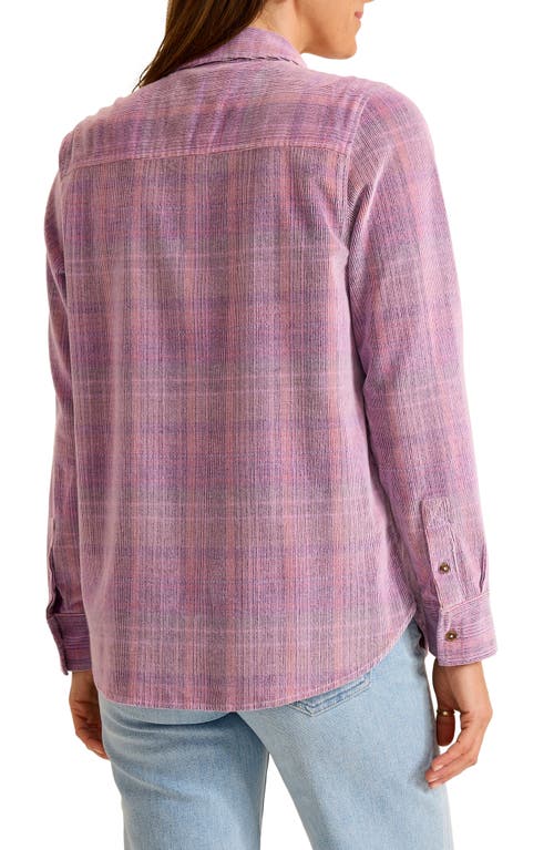Tommy Bahama Beachfront Stretch Cotton Corduroy Button-up Shirt In Purple