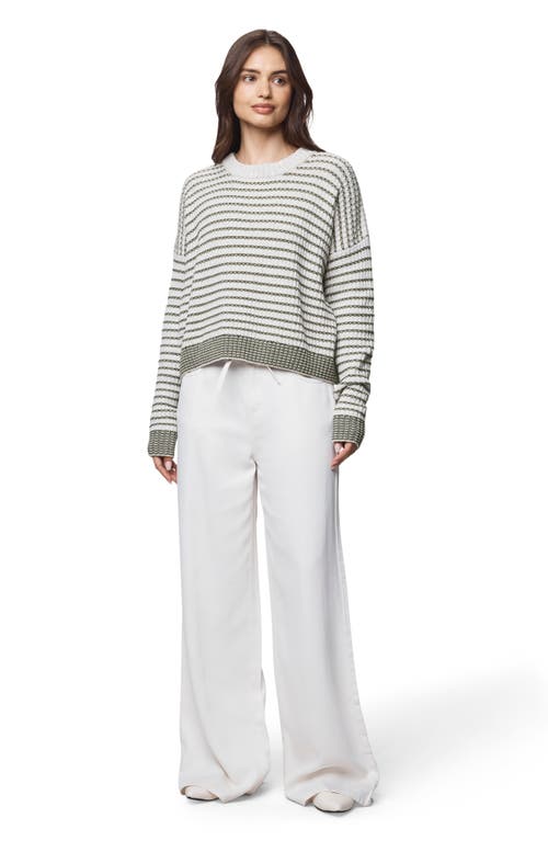 Splendid Lucy Stripe Oversize Sweater In Multi