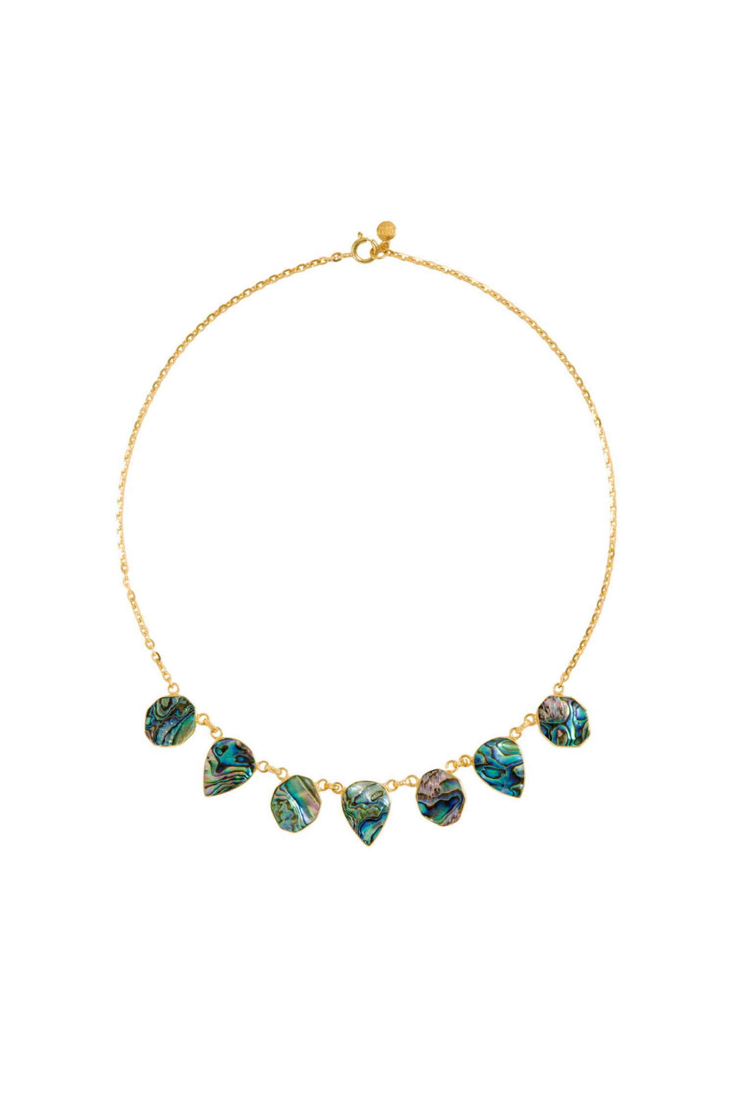selected Small Paua