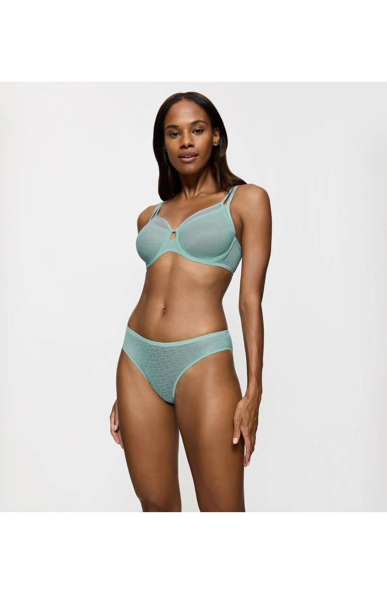 TRIUMPH Signature Sheer Bikini Panties, Alternate, color, Misty Turquoise