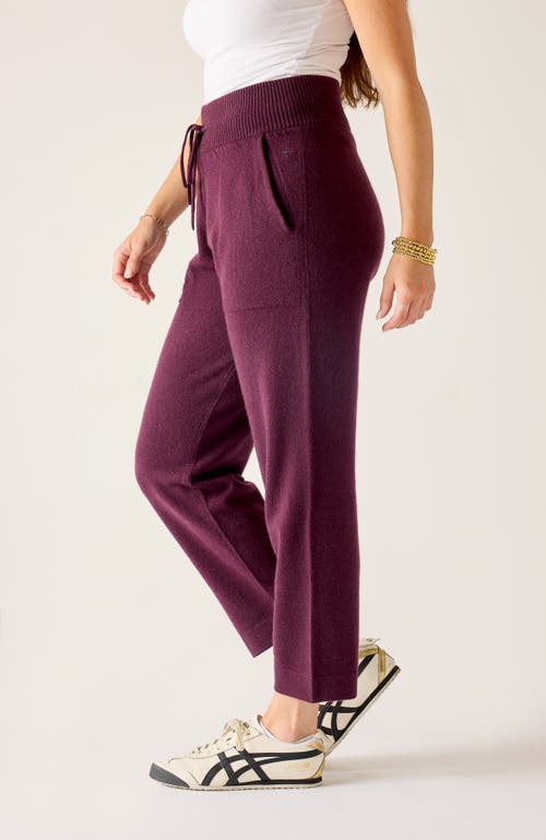 Voyageur By Mersea Parma Cashmere Travel Pant In Brown