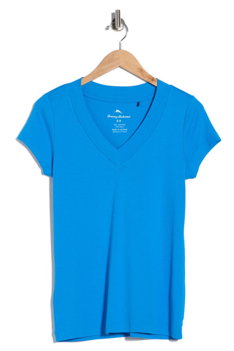 V-Neck Short Sleeve T-Shirt, Alternate, color, BLUE CANAL