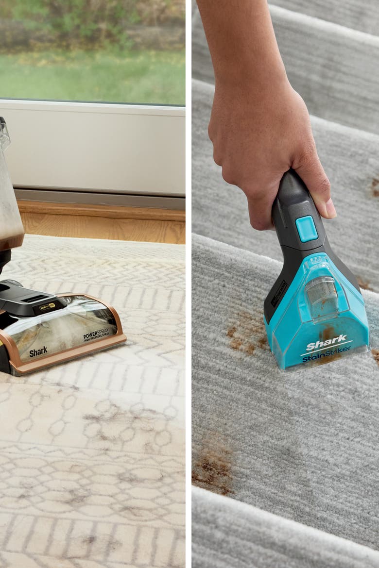 Hair Pro Pet Carpet Cleaner with Stain Striker, Alternate, color, Gray