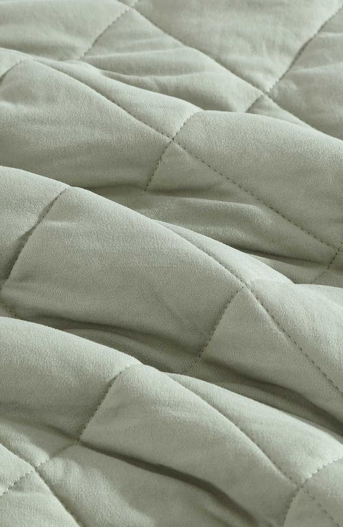 Eddie Bauer Classic Soft Solid Blanket In Green