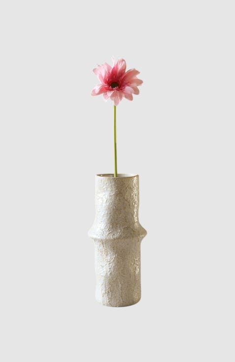 Light Pink Gerbera Daisy Flower